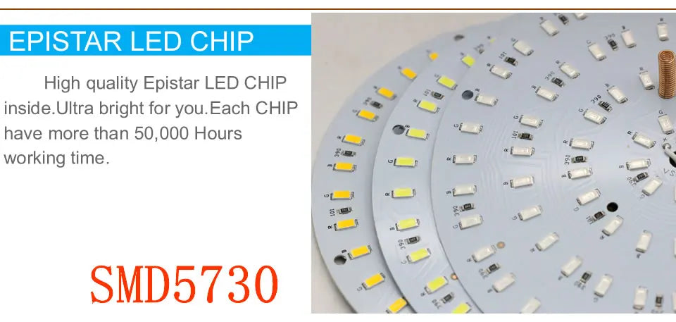 LED Swimming Pool Light 12V IP68