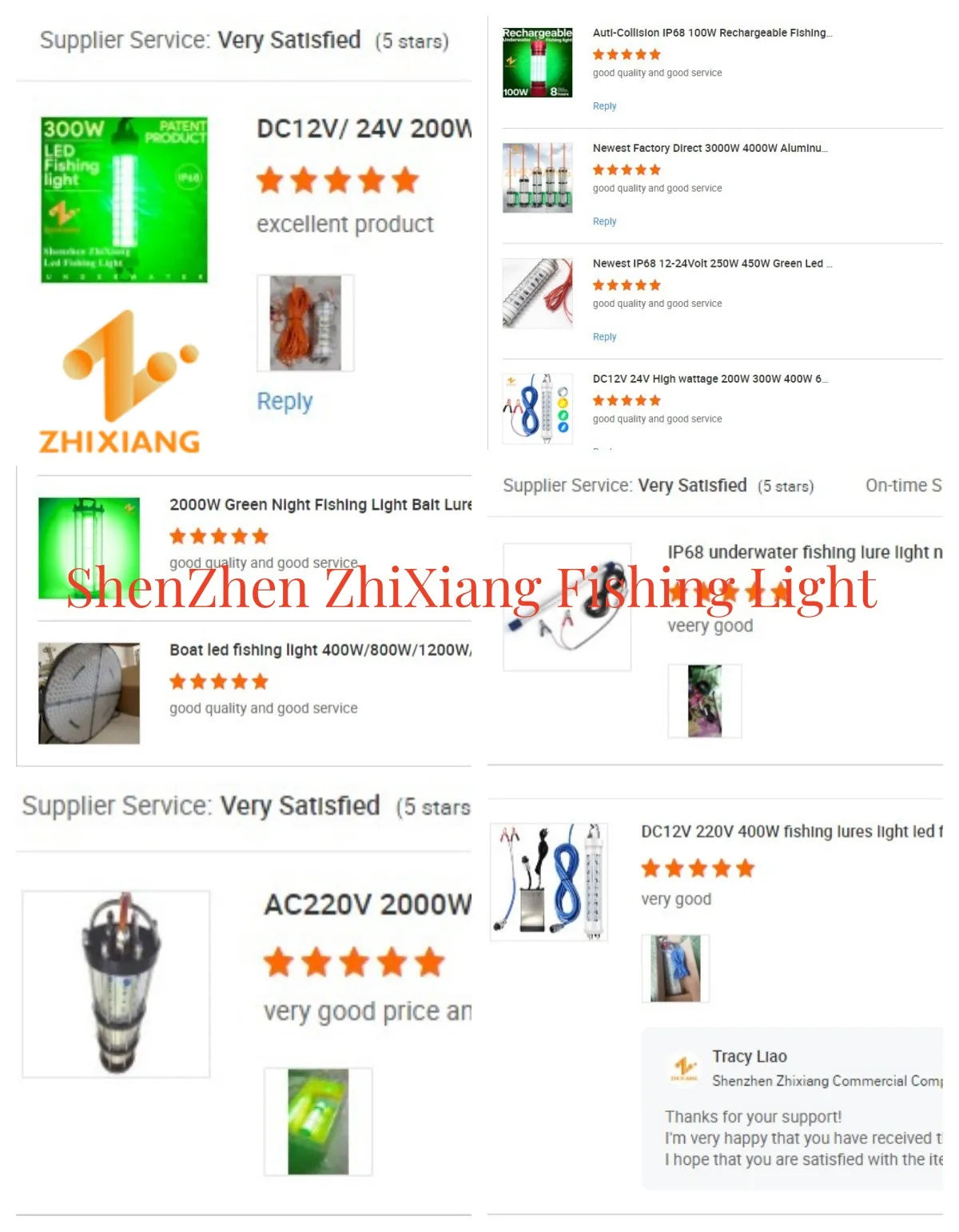 12V/220V LED Underwater Fishing Light