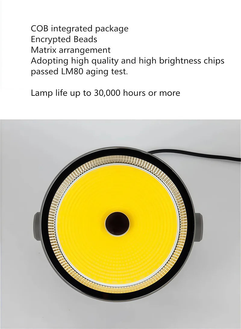Searchlight 1000W LED Floodlight