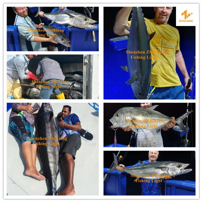 12V/220V LED Underwater Fishing Light
