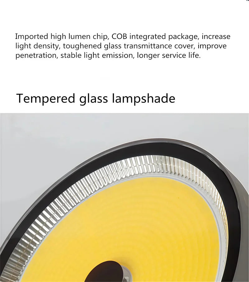 Searchlight 1000W LED Floodlight