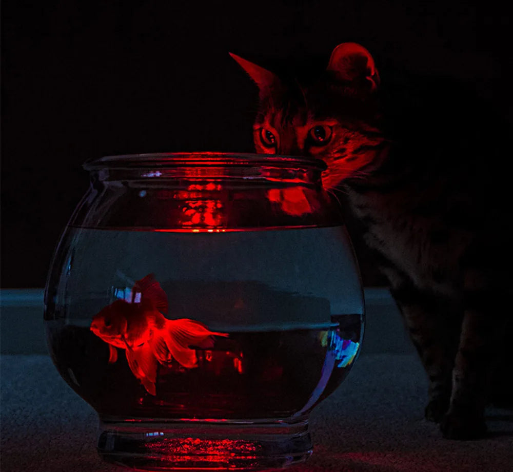 RGB LED Floating Pool Light with Remote Control