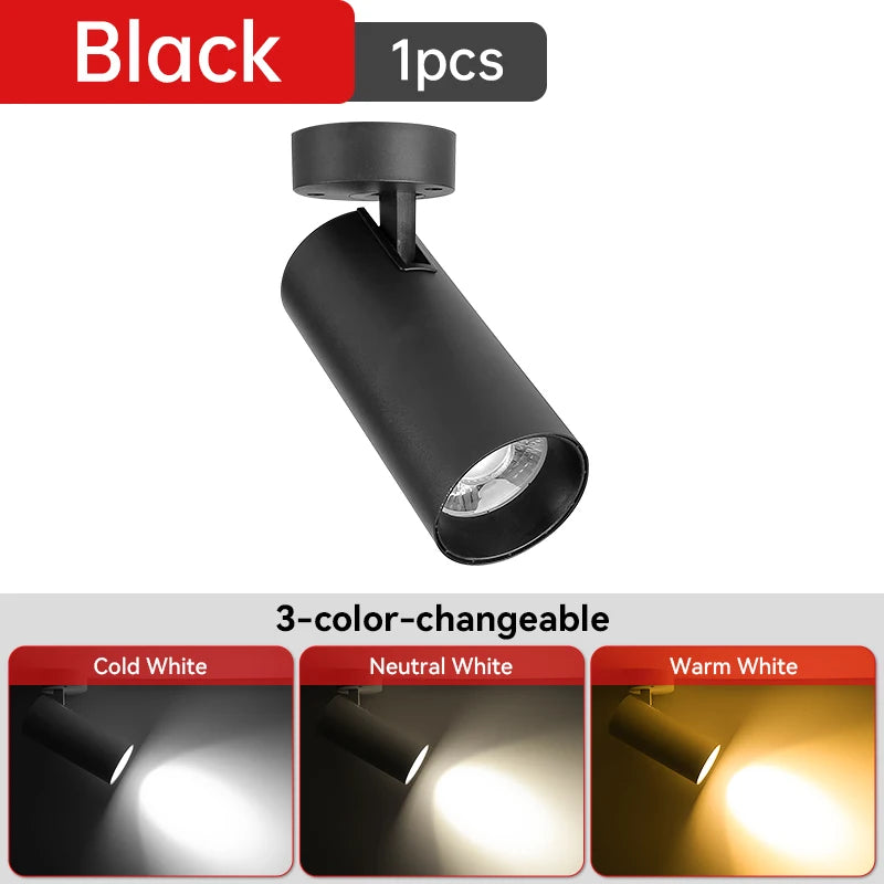 LED Ceiling Spotlight 110V