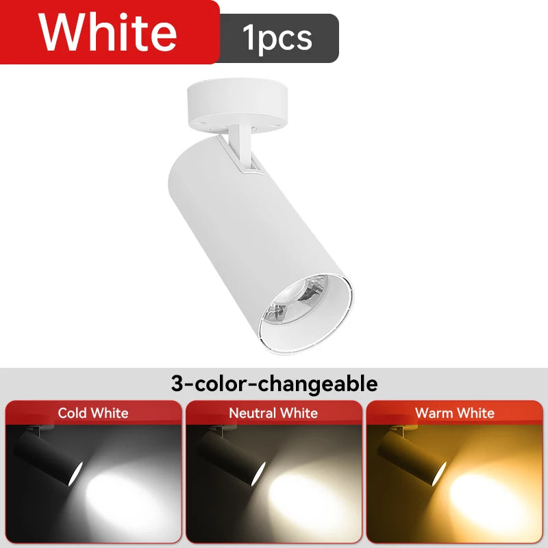 LED Ceiling Spotlight 110V