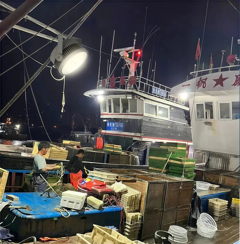 Searchlight 1000W LED Floodlight