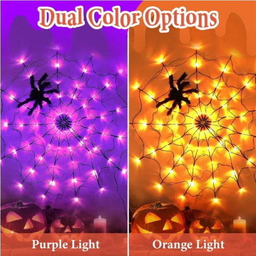 3.28FT Halloween Spider Web Light with Furry Spider