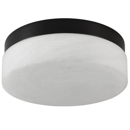 12-Inch Black 24W Flush Mount LED Ceiling Light