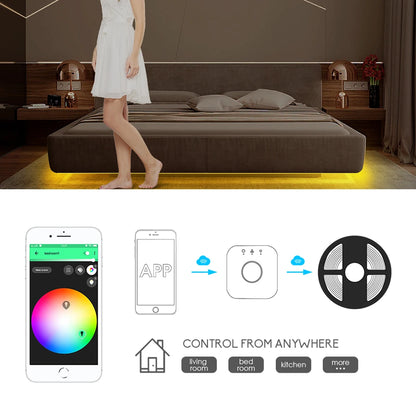 Smart Dimmable Ambiance LED Kit  &   Controller