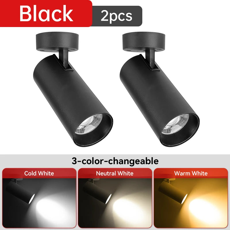 LED Ceiling Spotlight 110V