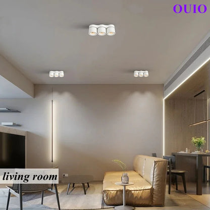 Folding Rotating COB LED Downlight with Adjustable Brightness