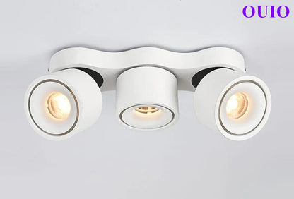 Folding Rotating COB LED Downlight with Adjustable Brightness