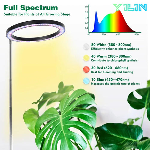 Full Spectrum LED Plant Grow Light – Adjustable Ring with Auto Timer