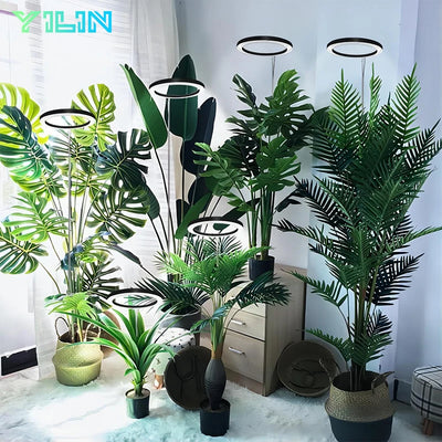 Full Spectrum LED Plant Grow Light – Adjustable Ring with Auto Timer