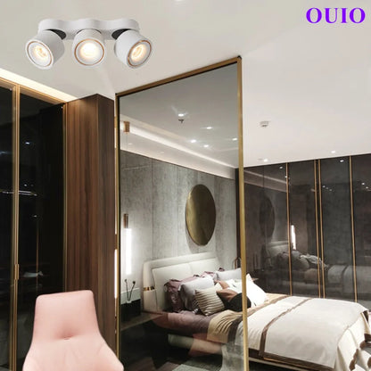 Folding Rotating COB LED Downlight with Adjustable Brightness