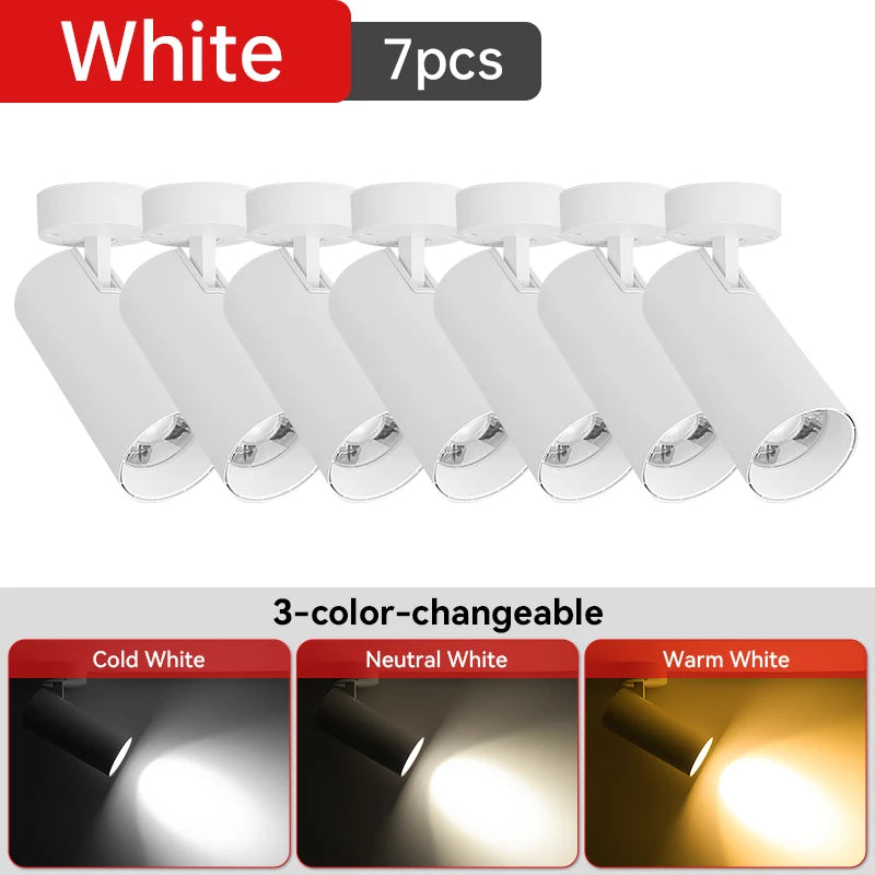 LED Ceiling Spotlight 110V
