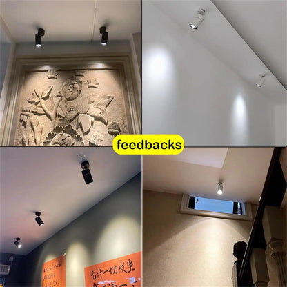 LED Ceiling Spotlight 110V