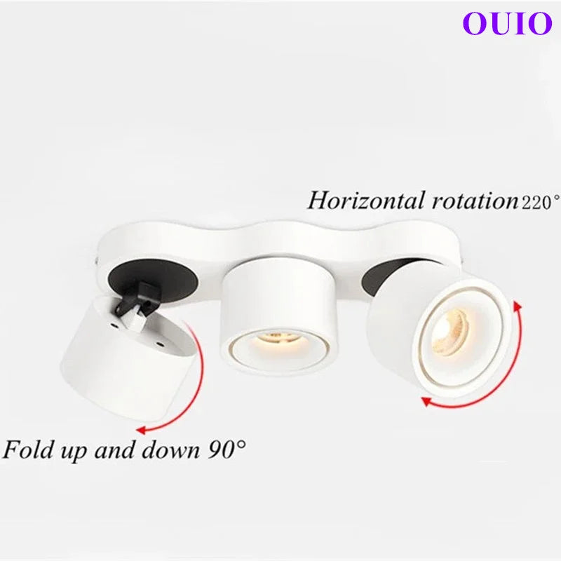 Folding Rotating COB LED Downlight with Adjustable Brightness