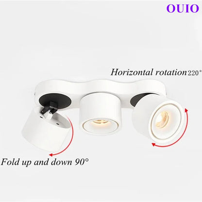 Folding Rotating COB LED Downlight with Adjustable Brightness