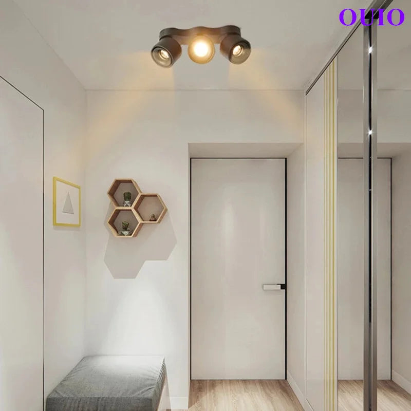 Folding Rotating COB LED Downlight with Adjustable Brightness