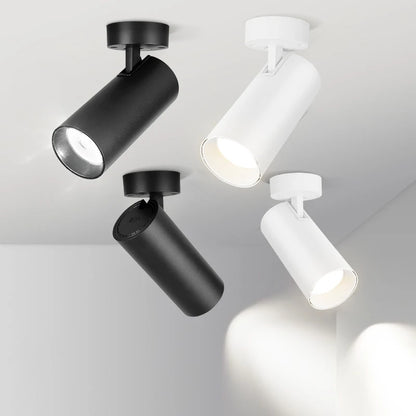 LED Ceiling Spotlight 110V