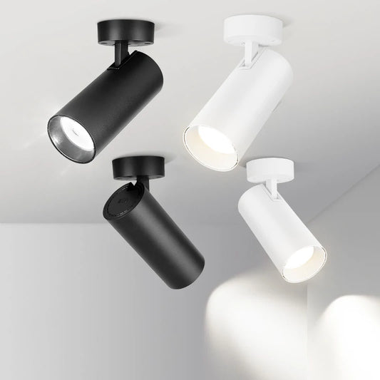 LED Ceiling Spotlight 110V