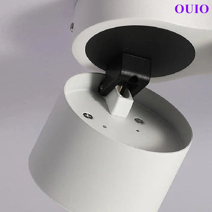Folding Rotating COB LED Downlight with Adjustable Brightness