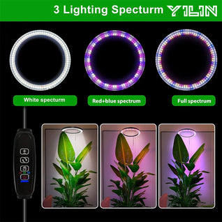 Full Spectrum LED Plant Grow Light – Adjustable Ring with Auto Timer