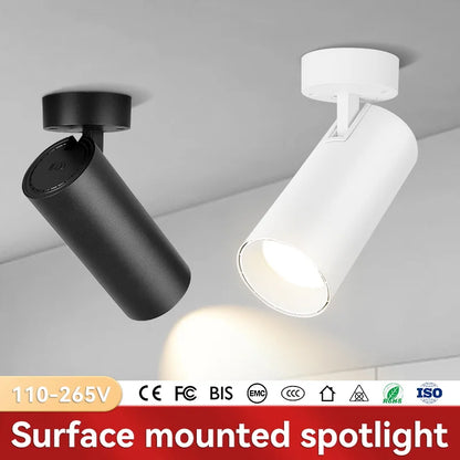 LED Ceiling Spotlight 110V