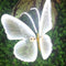 Butterfly Decorative Light