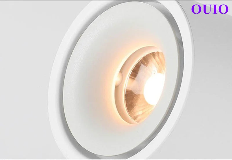 Folding Rotating COB LED Downlight with Adjustable Brightness