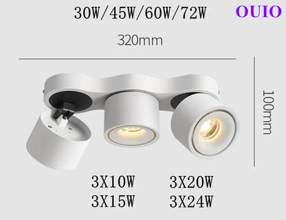 Folding Rotating COB LED Downlight with Adjustable Brightness