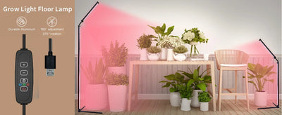 24V Full Spectrum LED Grow Light Floor Lamp with Timer & 3 Color Modes for Indoor Plants