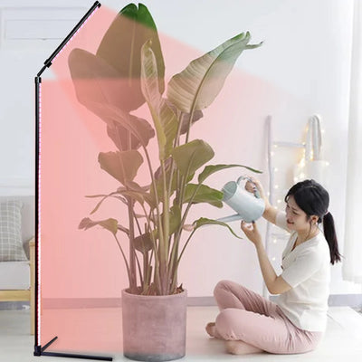 24V Full Spectrum LED Grow Light Floor Lamp with Timer & 3 Color Modes for Indoor Plants