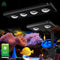 Week Aqua Z Series LED Reef Light – Bluetooth Programmable Coral Aquarium Lighting