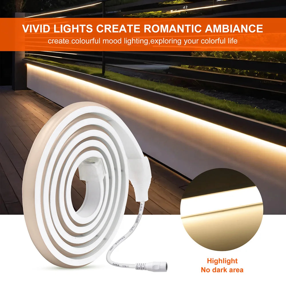 Neon Strip Light 12V 24V Dimmable 320 LEDs