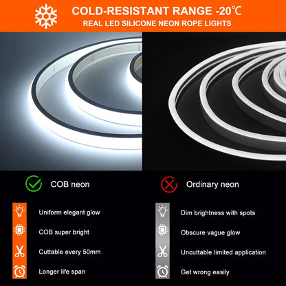 Neon Strip Light 12V 24V Dimmable 320 LEDs