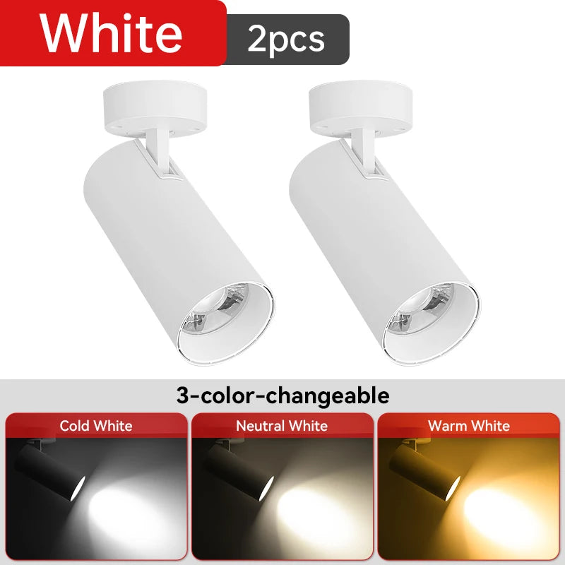 LED Ceiling Spotlight 110V