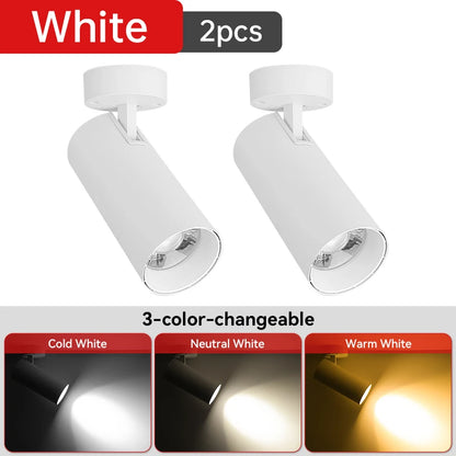LED Ceiling Spotlight 110V