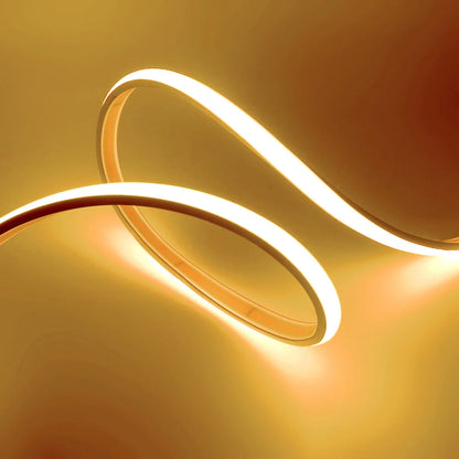 Neon Strip Light 12V 24V Dimmable 320 LEDs