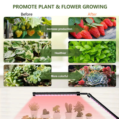 24V Full Spectrum LED Grow Light Floor Lamp with Timer & 3 Color Modes for Indoor Plants