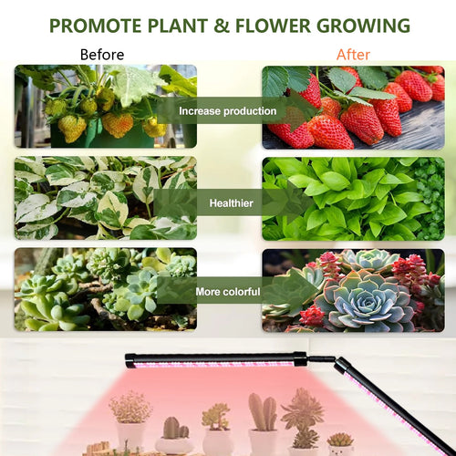 24V Full Spectrum LED Grow Light Floor Lamp with Timer & 3 Color Modes for Indoor Plants