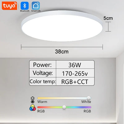 Smart RGB LED Ceiling Light with App & Voice Control (WiFi + Bluetooth)