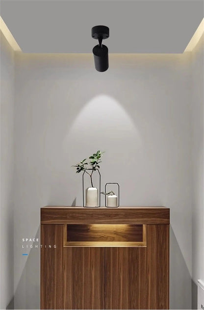 LED Ceiling Spotlight 110V