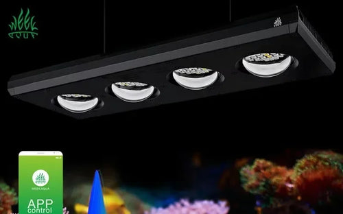 Week Aqua Z Series LED Reef Light – Bluetooth Programmable Coral Aquarium Lighting