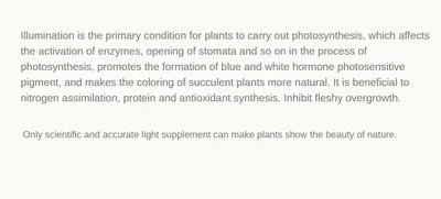 E27 Full Spectrum COB LED Grow Light Bulb for Indoor Plants & Greenhouse Cultivation