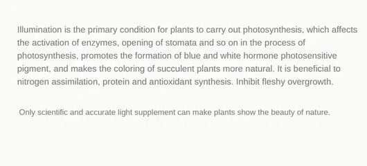 E27 Full Spectrum COB LED Grow Light Bulb for Indoor Plants & Greenhouse Cultivation