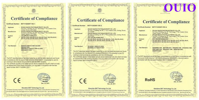 Folding Rotating COB LED Downlight with Adjustable Brightness