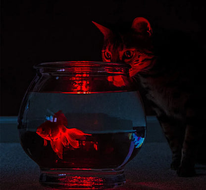 RGB LED Floating Pool Light with Remote Control