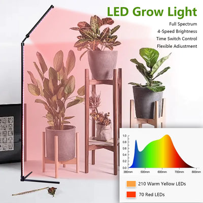 24V Full Spectrum LED Grow Light Floor Lamp with Timer & 3 Color Modes for Indoor Plants
