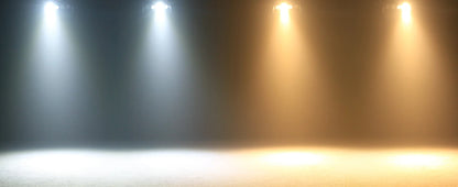 200W COB LED Par Lights